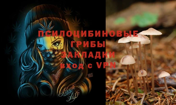 марки lsd Алзамай