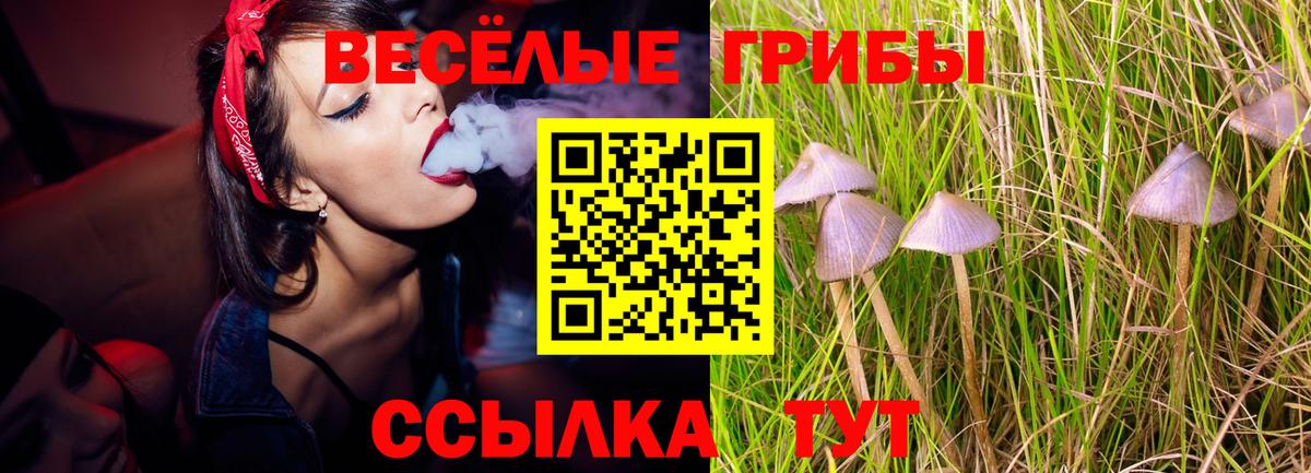 Псилоцибиновые грибы MAGIC MUSHROOMS Тара