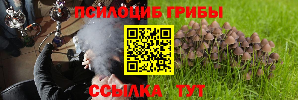 Тара  Галлюциногенные грибы прущие грибы  Вход с VPN  Галлюциногенные грибы MAGIC MUSHROOMS 